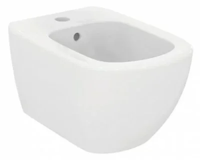 bideu suspendat ideal standard tesi