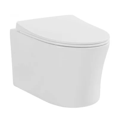 set vas wc suspendat rimless cu capac soft close si quick release alb fluminia isolda