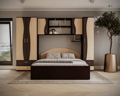 Dormitor Tineret cu D2 Wenge+Mesteacan